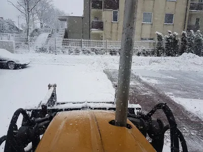 DALL Damian Śmiałek